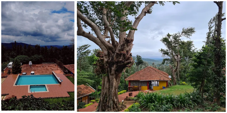 Eco-Friendly and Authentic Experience