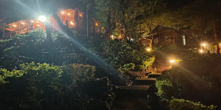 Nighttime at Ranga Taana Stargazing, Campfires & Forest Sounds