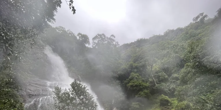 Stargazing Under the Western Ghats Sky