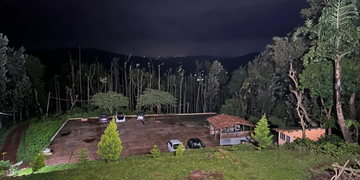 The Symphony of the Forest at Night