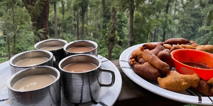 From Buffet Lines to Malnad Kitchens_ Local, Homely Malnad Food