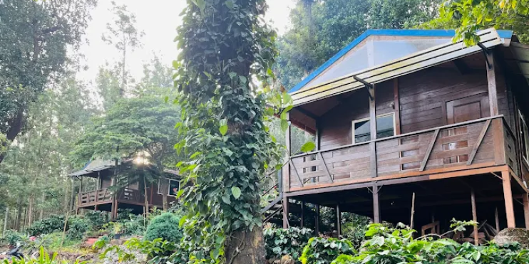 Shift 2_ From _Hotel Rooms_ to _Wooden Cottages_ (Living with Nature)