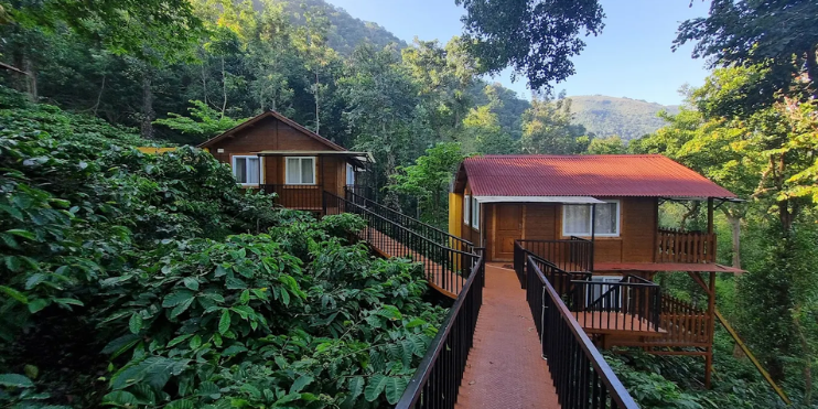 7 Reasons Couples Prefer Homestays Over Boutique Resorts in the Western Ghats