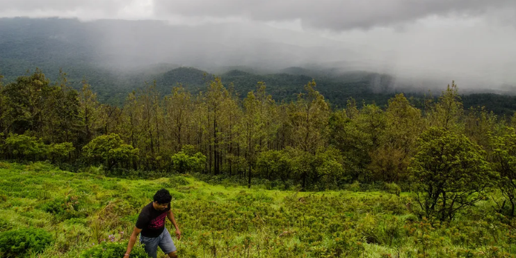 An Intimate, Sensory Connection to the Land 