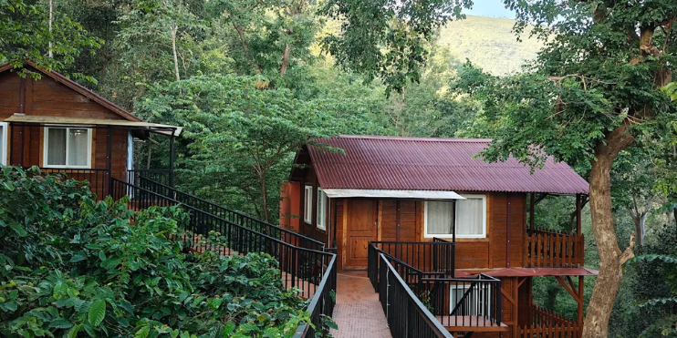 Couple vs. Family Cottage Layout Hacks