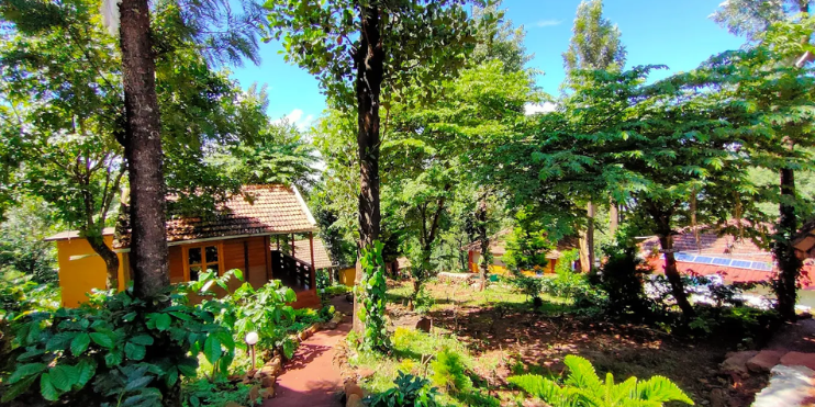 Key Tips Specific to Kemmangundi Cottage Stays