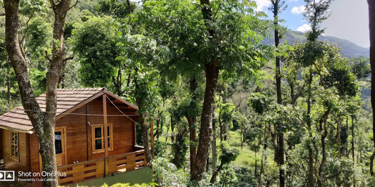 Things to Know Before Choosing a Deeper Chikmagalur Stay 