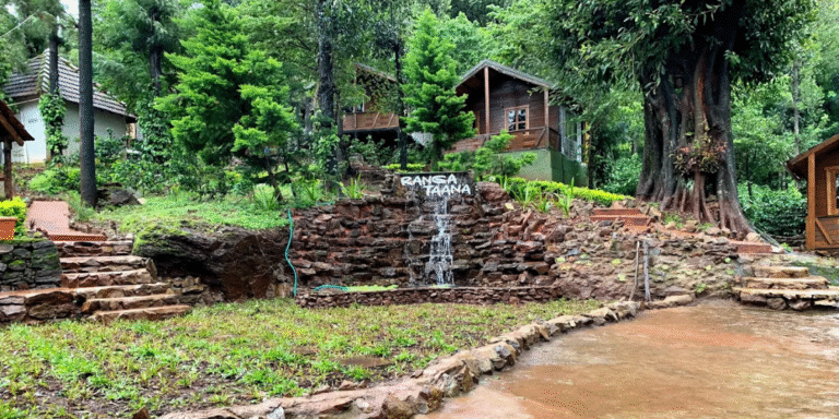 Why Staying Deeper in Chikmagalur - Feature image