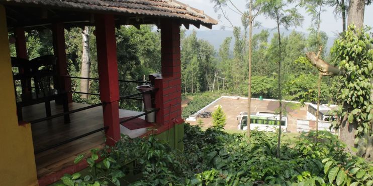 Choosing the Right Coffee Estate Homestay