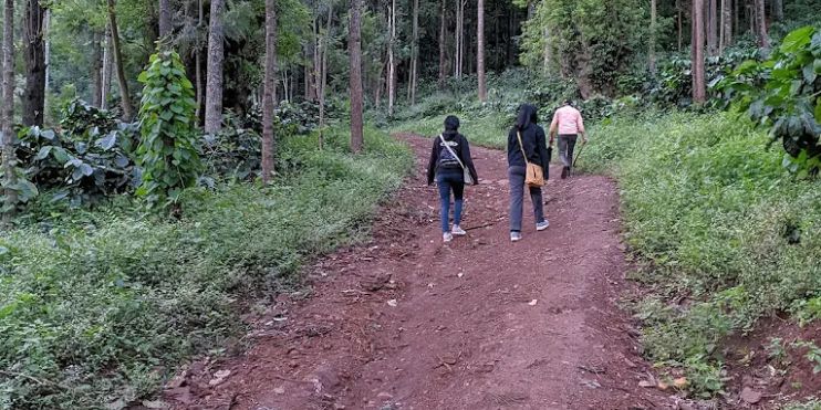 How to Reach Kallathigiri Falls?