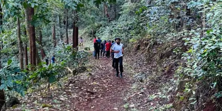 Trekking Guide