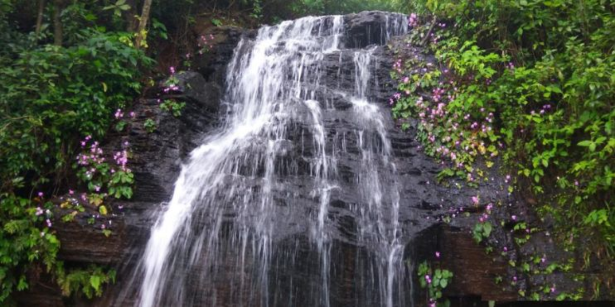 Feature Image
