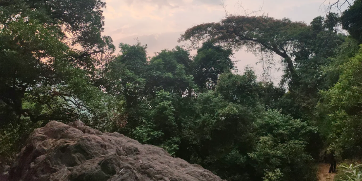 Kemmanagundi in Monsoon (July to August)
