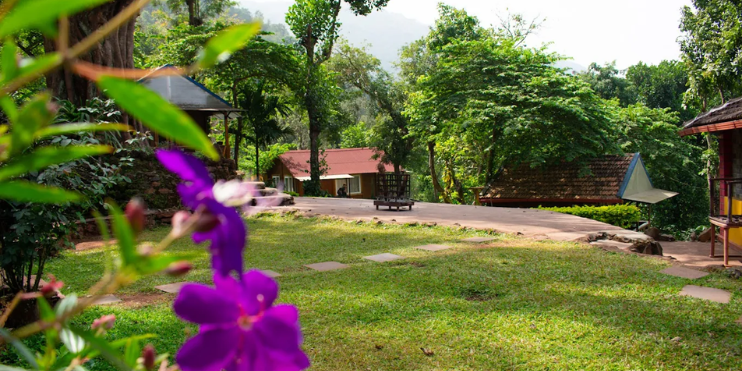 Local Festivals and Cultural Experiences Near Kemmanagundi