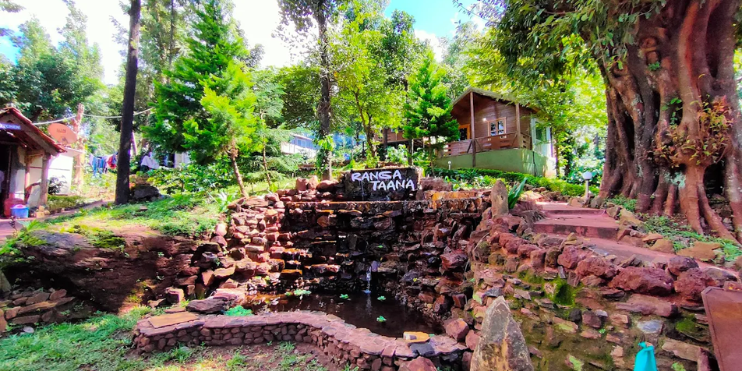 Why Ranga Taana is the Perfect Stay Near Kemmanagundi