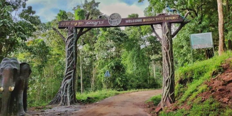 6. Bhadra Wildlife Sanctuary_ Give the Trip a Wildlife Day