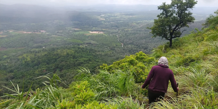 Best Time to Leave Bangalore for Chikmagalur