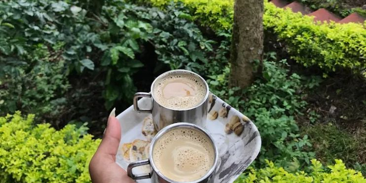 Coffee Country Changes the Feel of a Chikmagalur Holiday