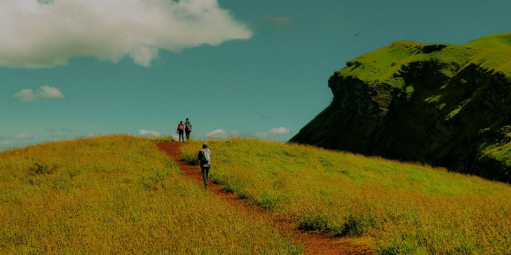 Kemmangundi_ Hill Views and Scenic Landscapes