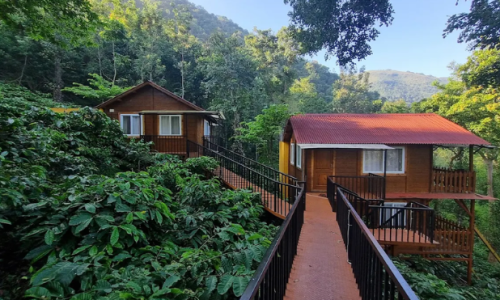 Two wooden cabins nestled in a lush forest, offering a serene retreat at Ranga Taana Resort in Chikmagalur.