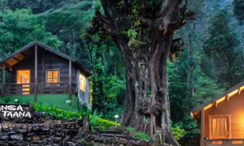 Stay with Us at Ranga Taana Resort – Your Nature Retreat