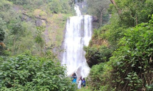 A group of hikers ascending a hillside trail, heading towards a majestic waterfall in the distance.