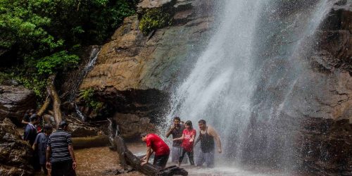 homestay in chikmagalur with waterfalls